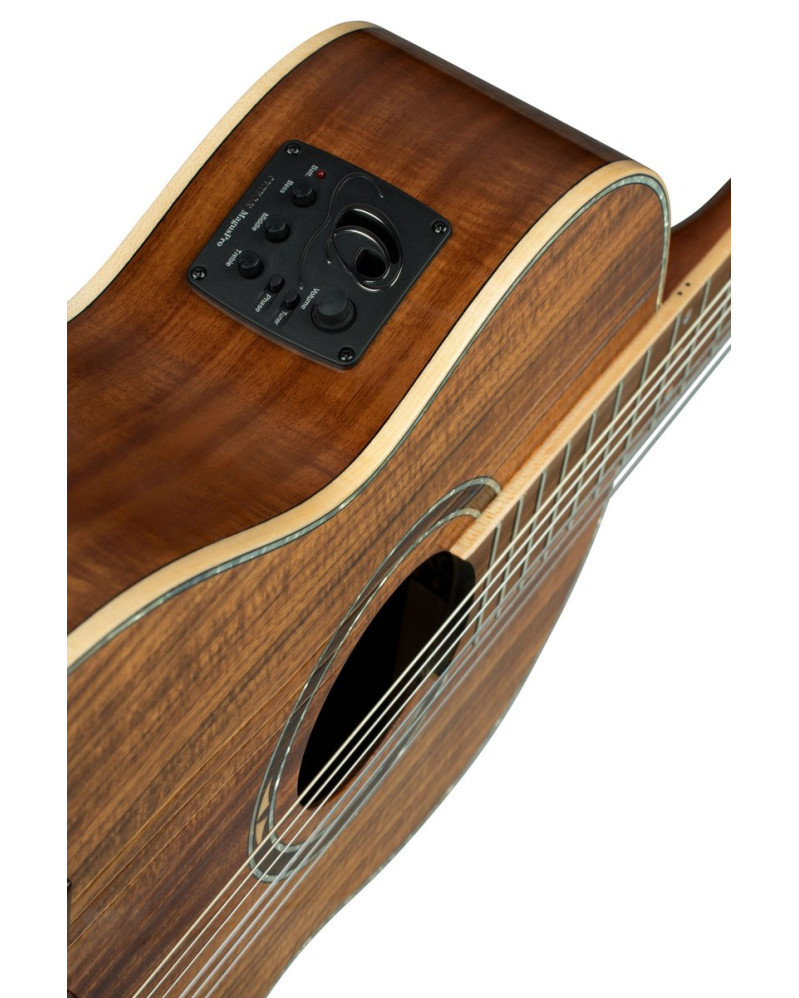 Ortega RE30TH-ACA 30th Anniversary Series 4/4 Nylon String Guitar 6-String - Natural + Gig Bag