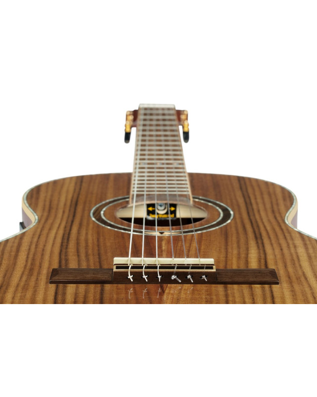 Ortega RE30TH-ACA 30th Anniversary Series 4/4 Nylon String Guitar 6-String - Natural + Gig Bag