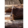 Ortega RFU10Z Timber Series Soprano Ukulele 4 String - Zebrawood Natural + Bag