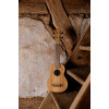 Ortega RFU10Z Timber Series Soprano Ukulele 4 String - Zebrawood Natural + Bag