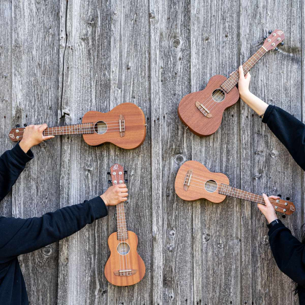Ortega RFU10ZE Timber Series Soprano Preamp Ukulele 4 String - Zebrawood Natural + Bag