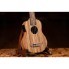 Ortega RFU10ZE Timber Series Soprano Preamp Ukulele 4 String - Zebrawood Natural + Bag