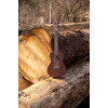 Ortega RFU11S Timber Series Concert Ukulele 4 String - Sapele Natural + Bag