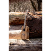 Ortega RFU11Z Timber Series Concert Ukulele 4 String - Zebrawood Natural + Bag