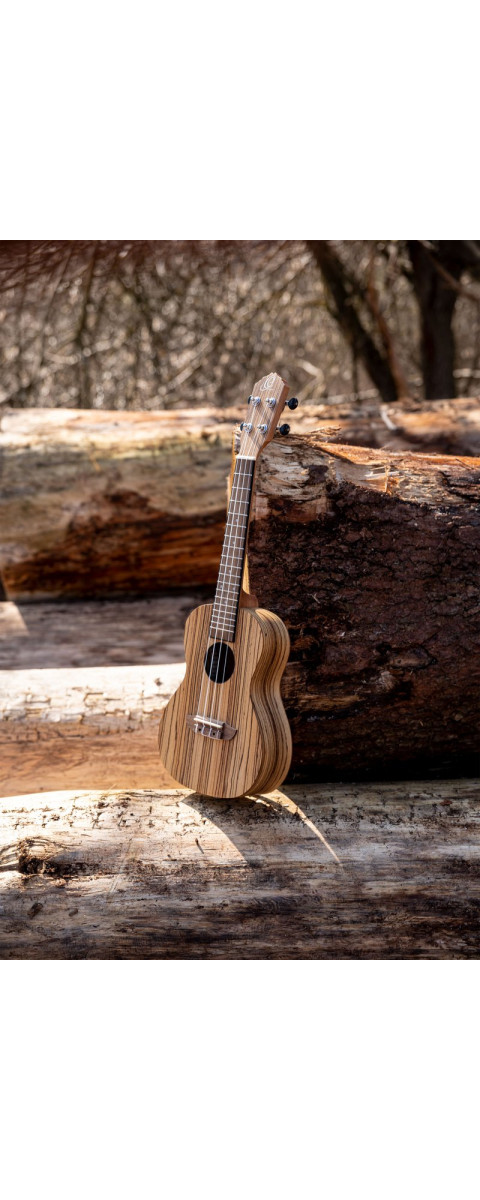 Ortega RFU11Z Timber Series Concert Ukulele 4 String - Zebrawood Natural + Bag