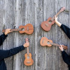 Ortega RFU11Z Timber Series Concert Ukulele 4 String - Zebrawood Natural + Bag