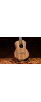 Ortega RFU11Z Timber Series Concert Ukulele 4 String - Zebrawood Natural + Bag