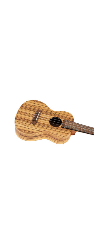 Ortega RFU11Z Timber Series Concert Ukulele 4 String - Zebrawood Natural + Bag