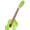 Ortega RGA-GAP Gaucho Series 4/4 Nylon String Guitar 6-String - Green Apple + Gig Bag