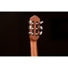 Ortega RGL5 Mini Travel Series 1/8 Guitar 6-String - Natural