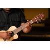 Ortega RGL5CE Mini Travel Series 1/8 Guitar 6-String - Natural