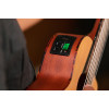 Ortega RGL5CE Mini Travel Series 1/8 Guitar 6-String - Natural