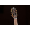 Ortega RGL5EB Mini Travel Series 1/8 Guitar 6-String - Natural