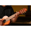 Ortega RGLE18FMH Mini Travel Series 1/8 Guitar 6-String - Natural + Gig Bag