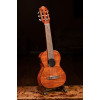 Ortega RGLE18FMH Mini Travel Series 1/8 Guitar 6-String - Natural + Gig Bag
