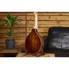 Ortega RMA200PF Americana Series A-Style Mandolin + Croco Leather Case