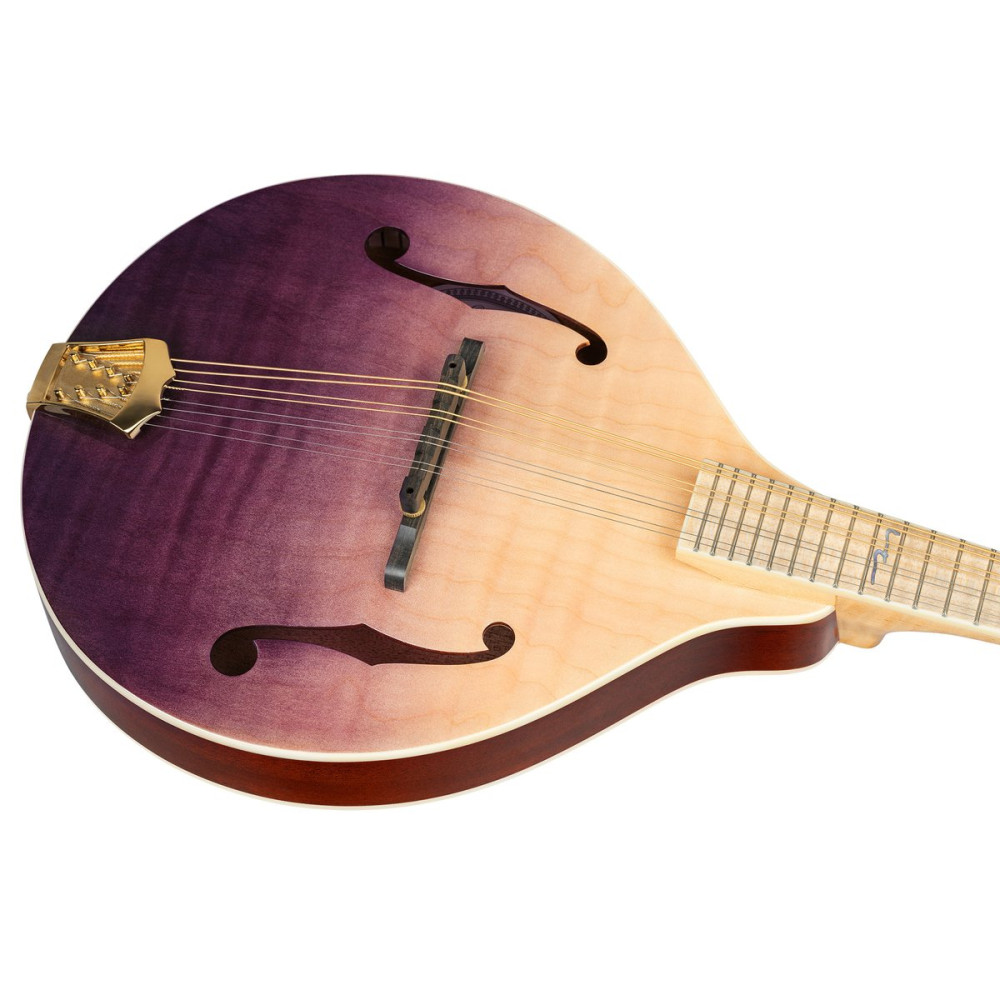 Ortega RMA200PF Americana Series A-Style Mandolin + Croco Leather Case
