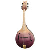 Ortega RMAE200PF Americana Series A-Style Mandolin + Croco Leather Case