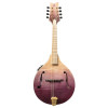 Ortega RMAE200PF Americana Series A-Style Mandolin + Croco Leather Case