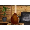 Ortega RMAE200PF Americana Series A-Style Mandolin + Croco Leather Case