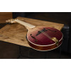 Ortega RMAE200PF Americana Series A-Style Mandolin + Croco Leather Case