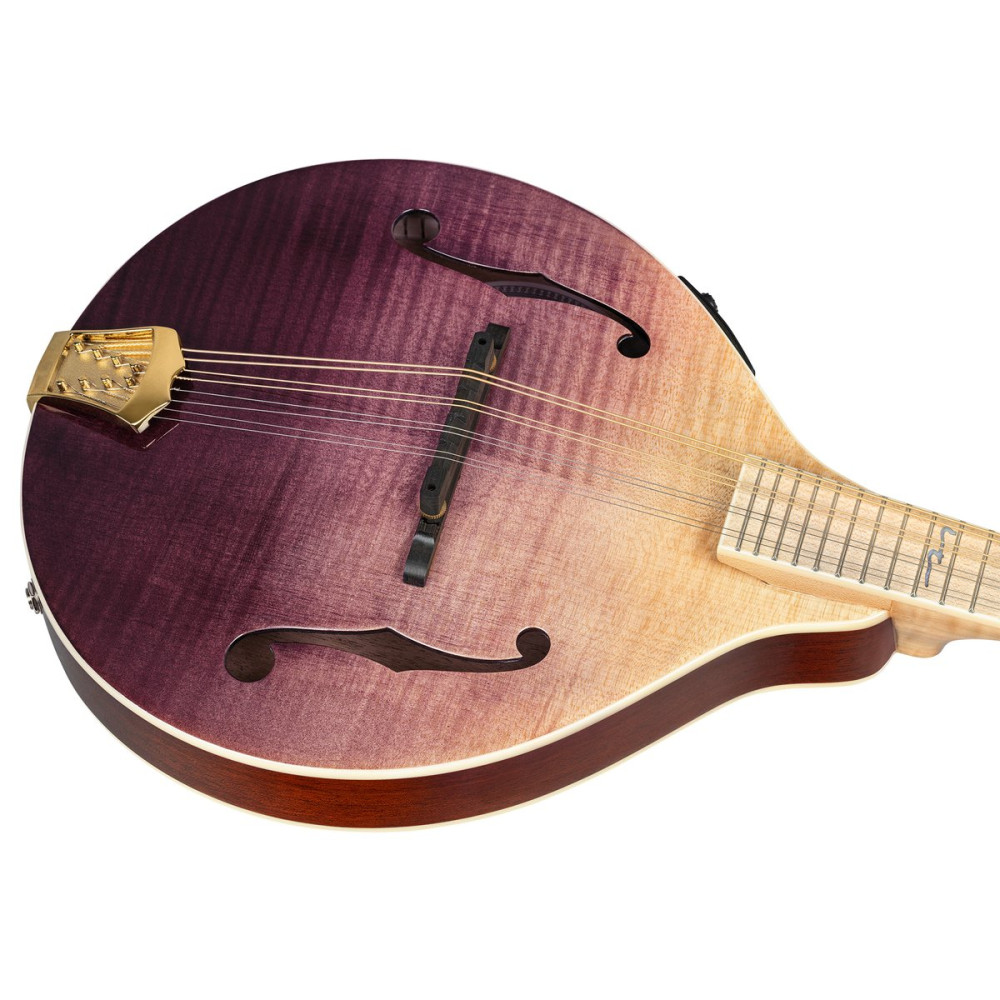 Ortega RMAE200PF Americana Series A-Style Mandolin + Croco Leather Case