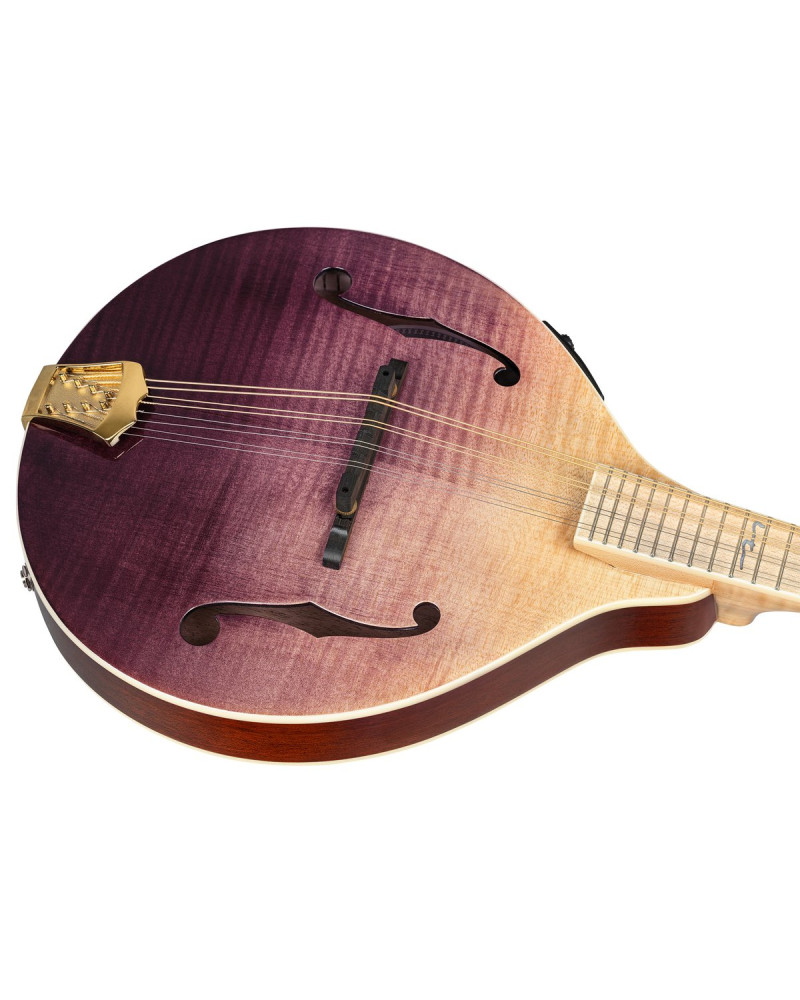 Ortega RMAE200PF Americana Series A-Style Mandolin + Croco Leather Case
