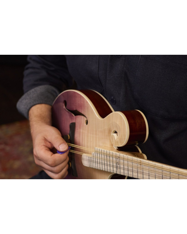 Ortega RMF200PF Americana Series F-Style Mandolin + Croco Leather Case