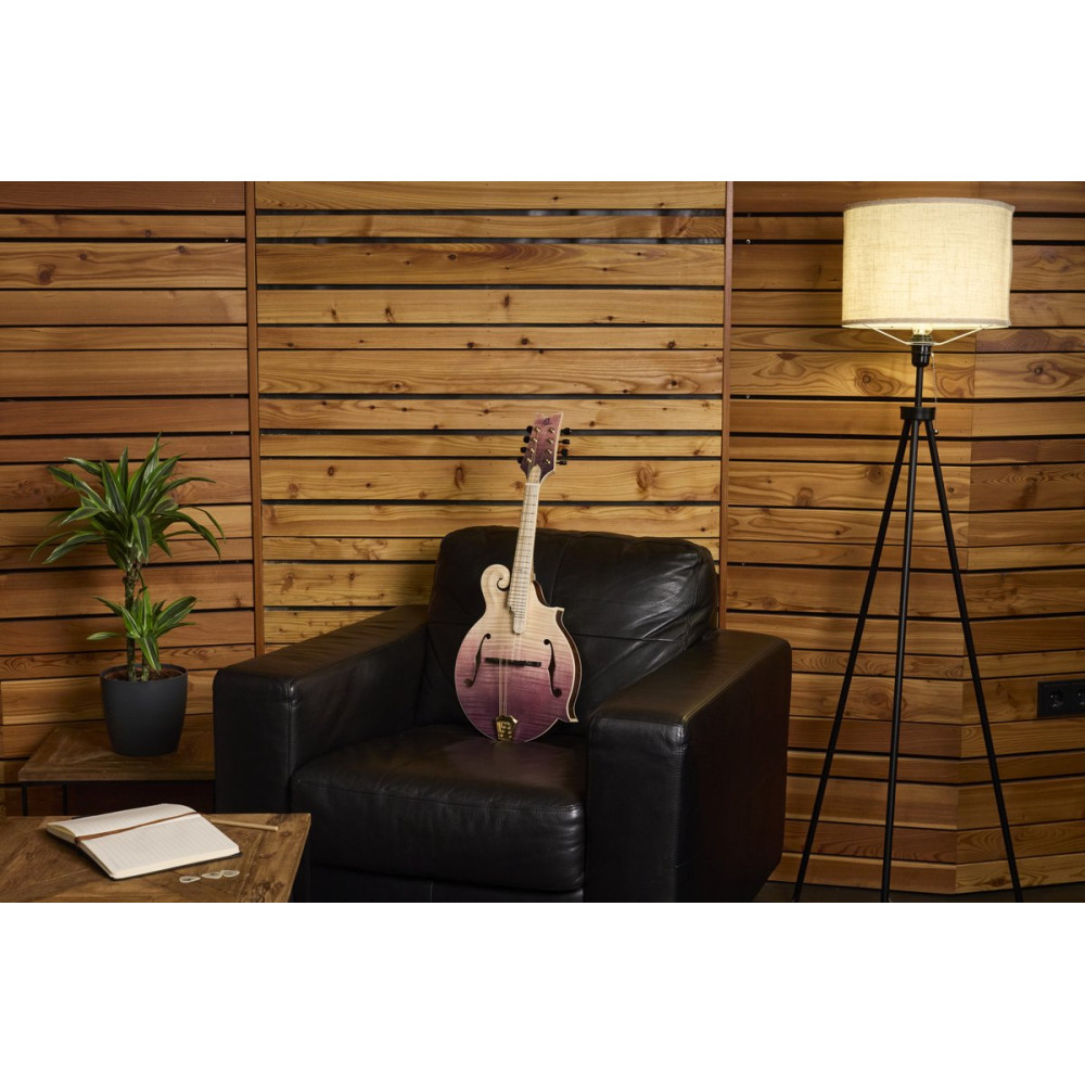 Ortega RMF200PF Americana Series F-Style Mandolin + Croco Leather Case