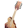 Ortega RMF200PF Americana Series F-Style Mandolin + Croco Leather Case