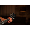 Ortega RMF30-WB Americana Series F-Style Mandolin 8 String - Spruce / Maple Satin Whiskey Burst