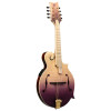 Ortega RMFE200PF Americana Series F-Style Mandolin + Croco Leather Case