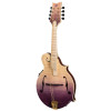 Ortega RMFE200PF Americana Series F-Style Mandolin + Croco Leather Case