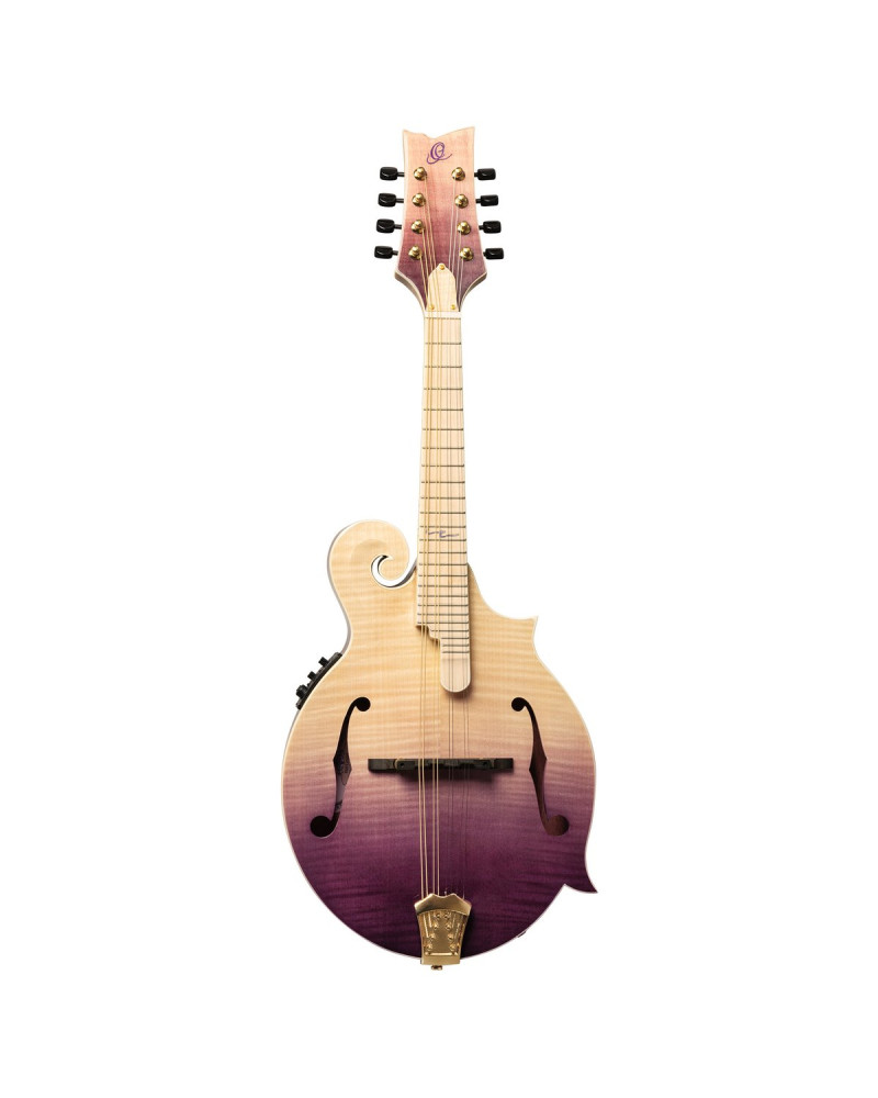 Ortega RMFE200PF Americana Series F-Style Mandolin + Croco Leather Case