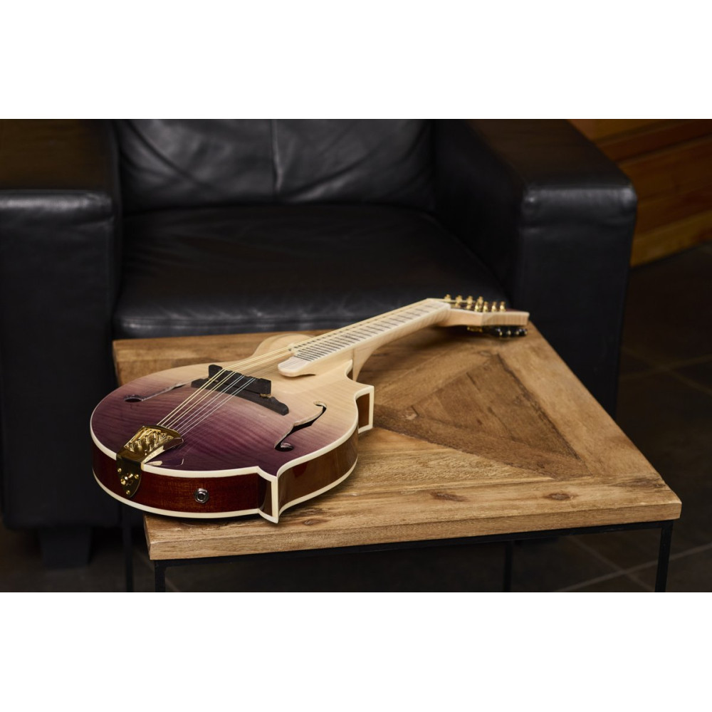 Ortega RMFE200PF Americana Series F-Style Mandolin + Croco Leather Case