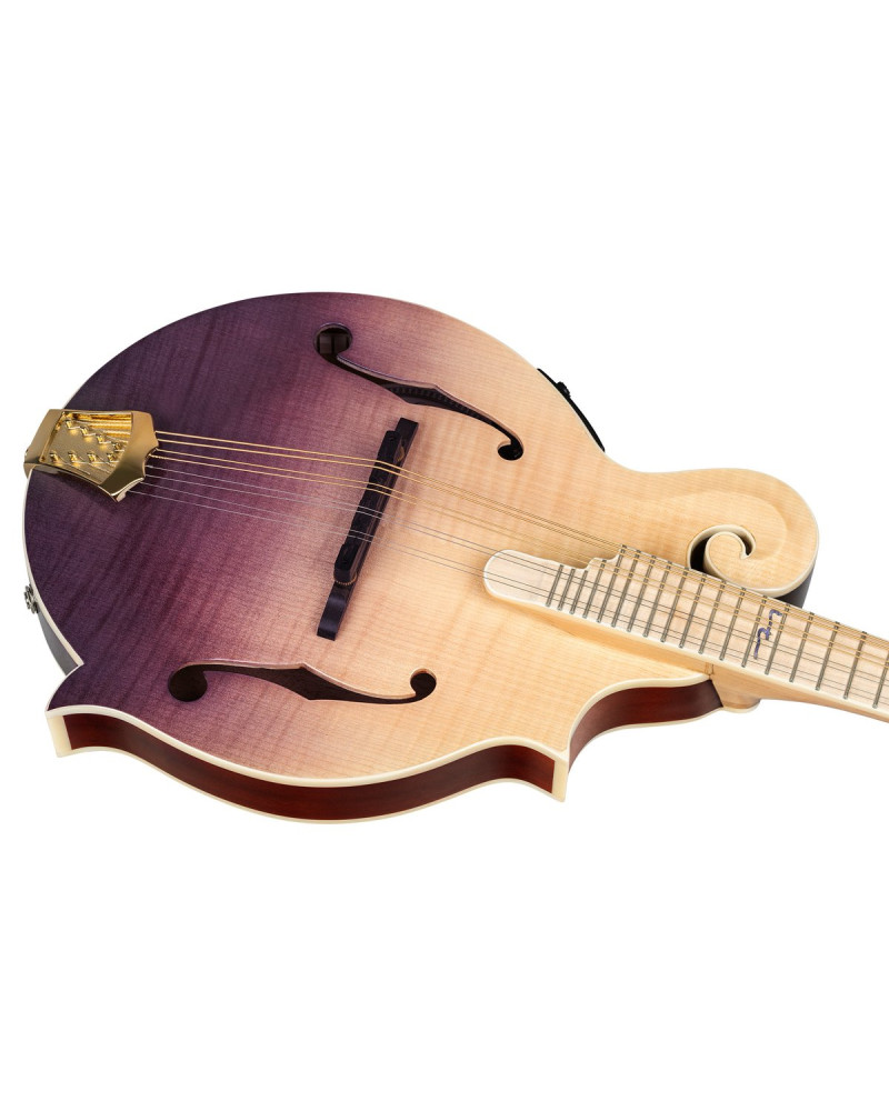 Ortega RMFE200PF Americana Series F-Style Mandolin + Croco Leather Case