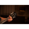Ortega RMFE30-WB Americana Series F-Style Mandolin 8 String - Spruce / Maple Satin Whiskey Burst
