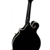 Ortega RMFE40SBK F-Style Series Mandoline 8 String - Spruce / Maple Black + Bag