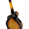 Ortega RMFE90TS F-Style Series Mandolin 8 String - Spruce / Maple Tobacco Sunburst