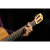 Ortega RSM-REISSUE The Private Room 4/4 Nylon String Guitar 6-String - Spalted Maple Natural + Gig Bag