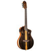 Ortega RTP-LTD TourPlayer Series 4/4 size Nylon String Guitar 6-String + Pro Gig Bag
