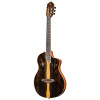 Ortega RTP-LTD TourPlayer Series 4/4 size Nylon String Guitar 6-String + Pro Gig Bag