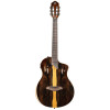 Ortega RTP-LTD TourPlayer Series 4/4 size Nylon String Guitar 6-String + Pro Gig Bag
