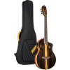 Ortega RTP-LTD TourPlayer Series 4/4 size Nylon String Guitar 6-String + Pro Gig Bag