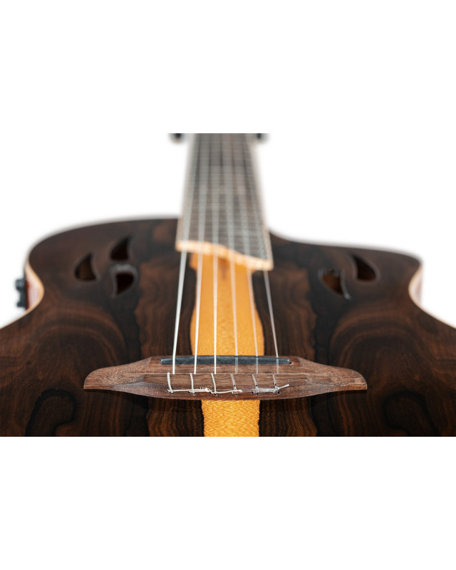 Ortega RTP-LTD TourPlayer Series 4/4 size Nylon String Guitar 6-String + Pro Gig Bag