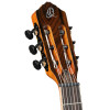 Ortega RTP-LTD TourPlayer Series 4/4 size Nylon String Guitar 6-String + Pro Gig Bag