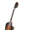 Ortega RTPDLX-ACA TourPlayer DeLuxe Nylon String Guitar 6-String - Acacia Burst + Gig Bag