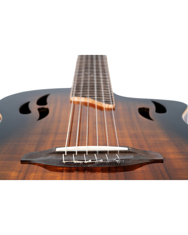 Ortega RTPDLX-ACA TourPlayer DeLuxe Nylon String Guitar 6-String - Acacia Burst + Gig Bag