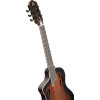 Ortega RTPDLX-ACA-L TourPlayer DeLuxe Nylon String Guitar 6-String Lefty - Acacia Burst + Gig Bag