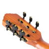 Ortega RTPDLX-FMA TourPlayer DeLuxe Nylon String Guitar 6-String - Flamed Maple Blue + Gig Bag